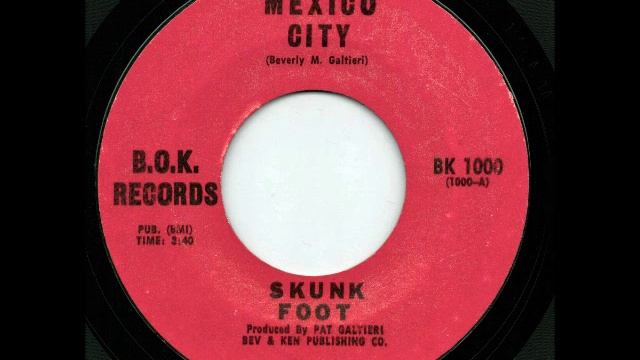 Mexico City - Skunk Foot смотреть онлайн