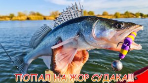 Попал на ЖОР судака! Поиск судака по эхолоту!