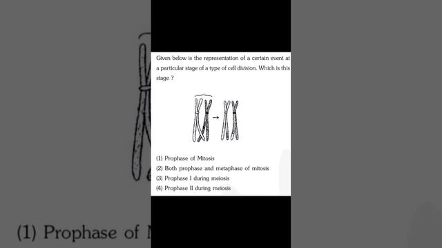 Try the Q-107 # NEET practice question # Cell cycle and cell division смотреть онлайн