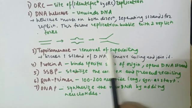 DNA Replication/ Molecular Biochemistry смотреть онлайн