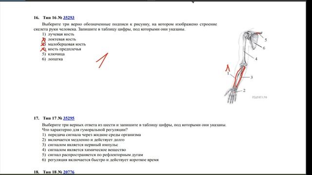Решаем реальный вариант ОГЭ. Разбор варианта на 5! Просто и понятно. смотреть онлайн