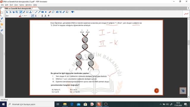 DNA VE GENETİK KOD MEB LGS ÖRNEK SORU ÇÖZÜMÜ 1