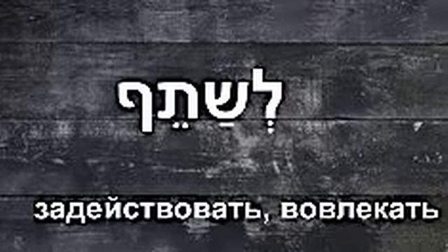 8 слов с корнем ש ת פ смотреть онлайн