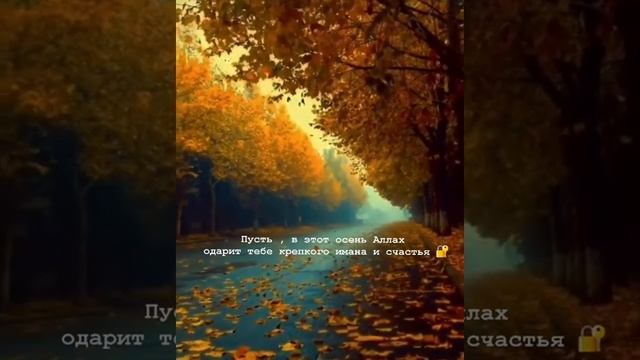 Исламские цитаты #41 смотреть онлайн