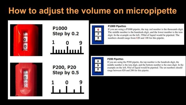 How to adjust the volume on micropipette смотреть онлайн