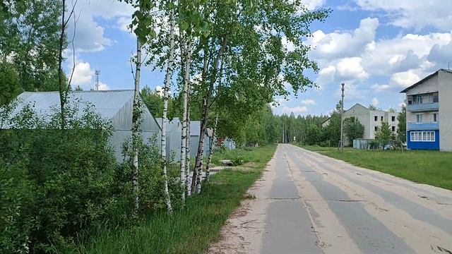 Мирный. Брянская область.Май. Березовая роща. смотреть онлайн