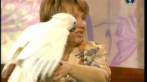 В мире животных с Николаем Дроздовым 2012 г  Выпуск - 25