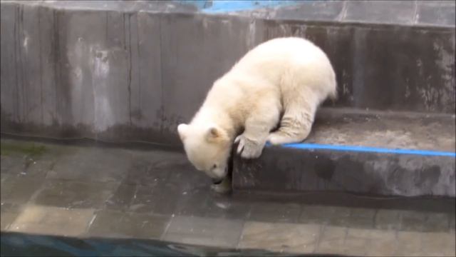 Двойняшка, прыгай ко мне! Здесь интересно! 11.05.19