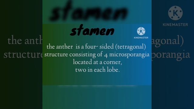 Male Reproductive Part Of Flower 🌺 #scienceworld  #biology  #shortsyoutube