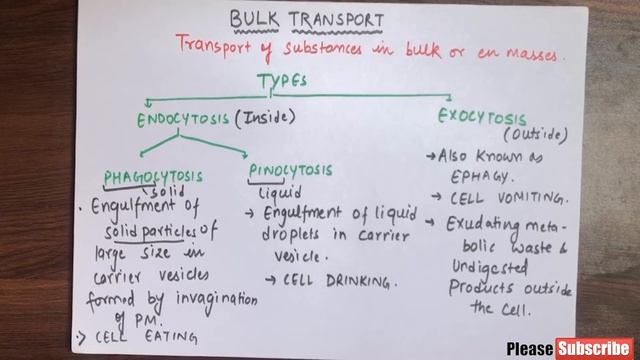 Membrane/Cell Transport - Endocytosis & Exocytosis | Bulk Transport Across Plasma membrane | Class1 смотреть онлайн