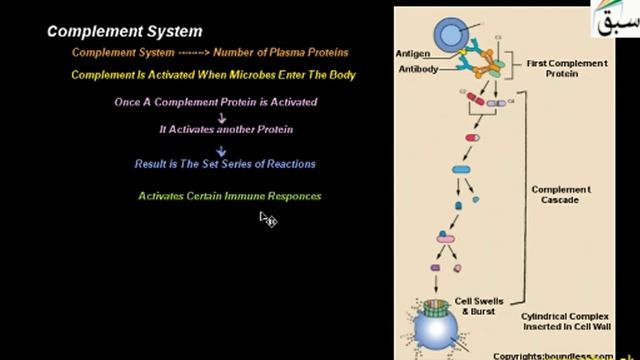 Complement System, Biology Lecture | Sabaq.pk