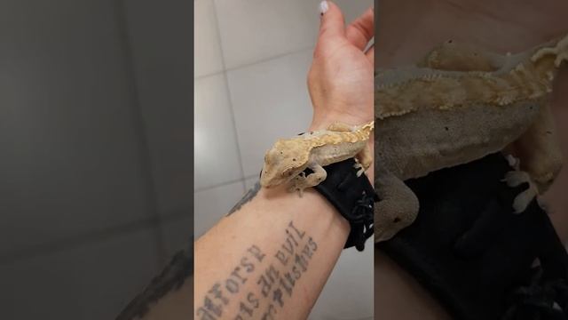 Малыш бананоед доведенный до рахита и прочих 