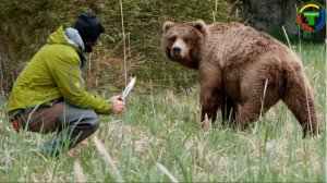 Как обезопасить себя от диких животных