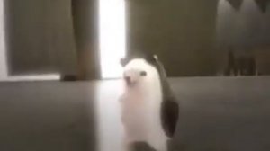 Я НЕ ЧЕЛОВЕК, И НЕ ГОРОШЕК, Я ЁЖИК, ГРУСТНЫЙ ЁЖИК