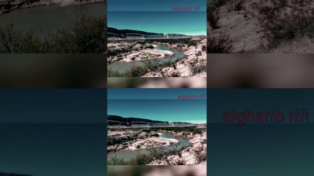 desiertos de méxico y su fauna y flora parte 2 #naturaleza #animales