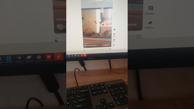 Условия на мой канал смотреть онлайн