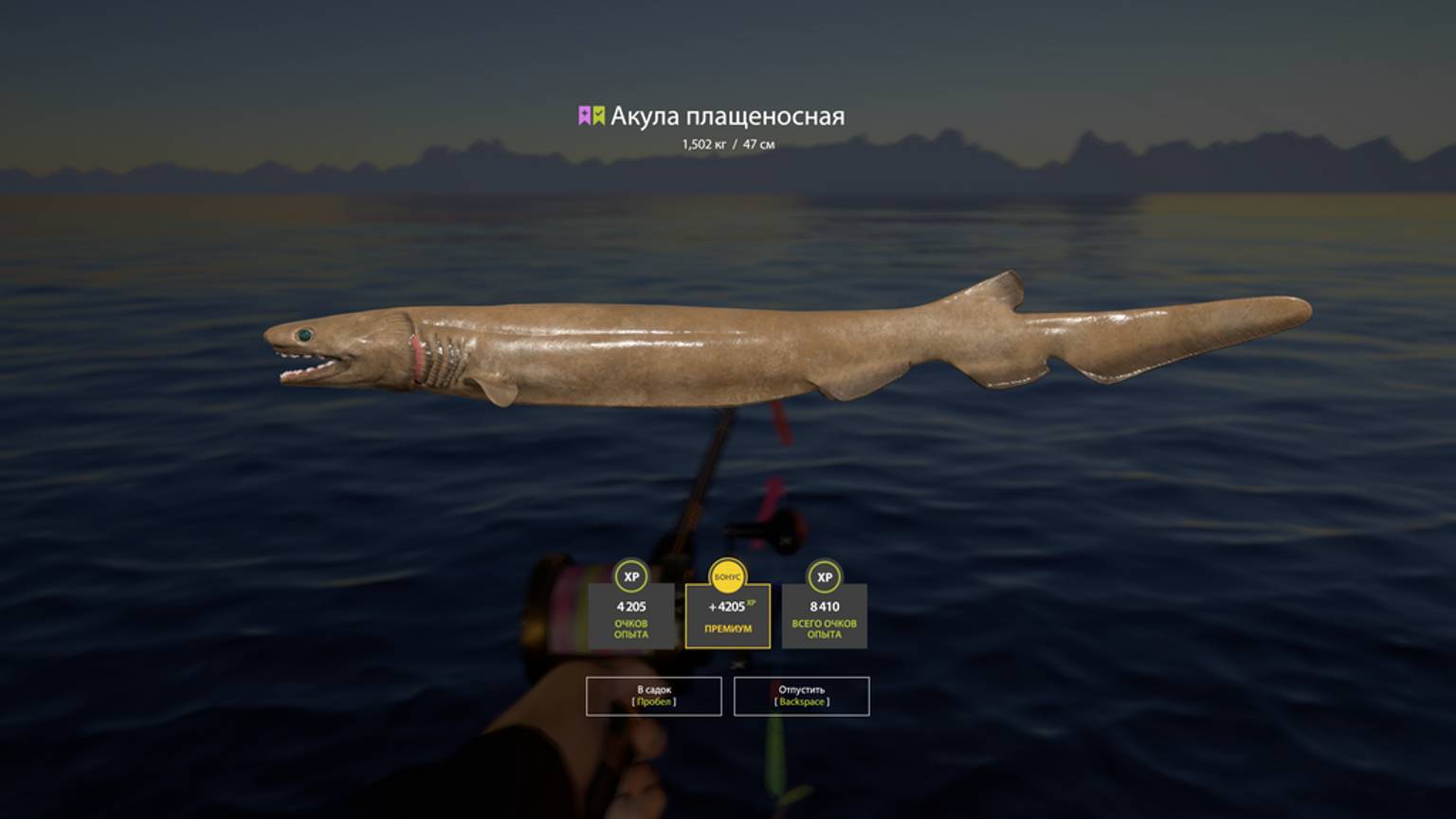 Русская Рыбалка 4 [PC 2018] 🐟 Первая моя Плащеносная Акула