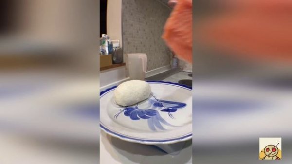 Мемы видео с реддита. memes from reddit. Сборка №2