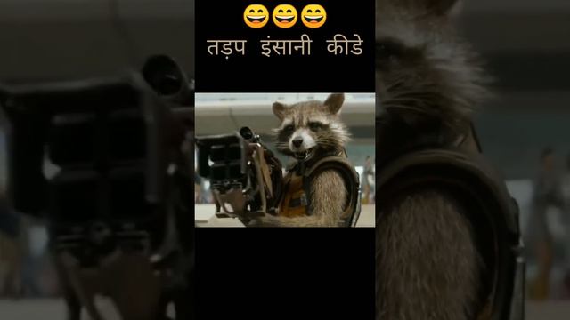 तड़प इंसानी कीडे best comedy dialogue #guardian of the galaxy#rocket #rocketfunnydialogue смотреть онлайн