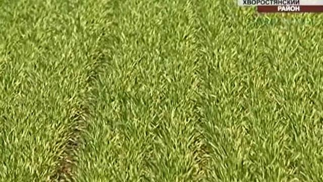 Утро Губернии 30.04.2015 смотреть онлайн