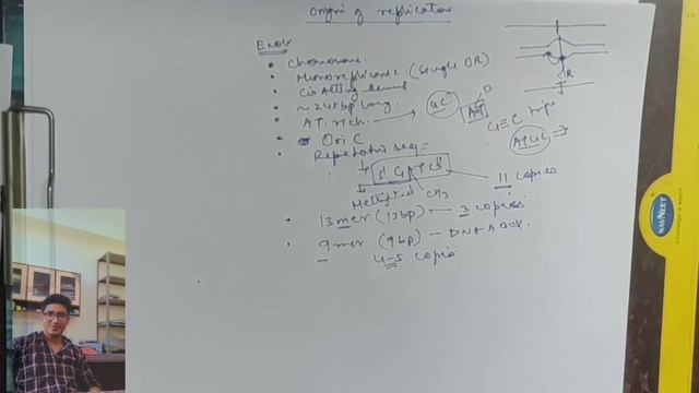 L28 | Origin of Replication | DNA Replication Part 2 смотреть онлайн