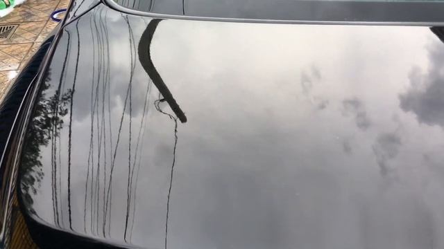 Sonax Polymer Netshield Application + Water Test