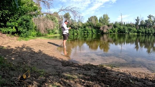 Мормышинг с CF Sub-Zero Стоит ли переплачивать смотреть онлайн