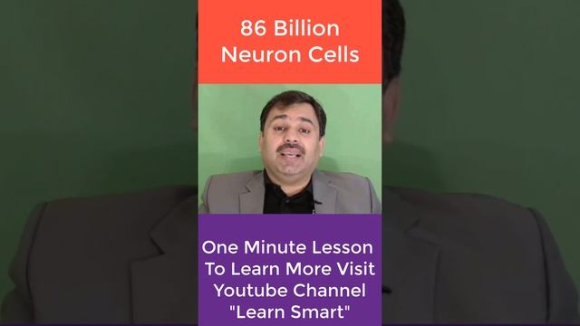 86 Billion Neuron Cells in Brain смотреть онлайн
