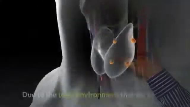 Leptitox Nutrition Solution Effective Fat Burner Or Fad