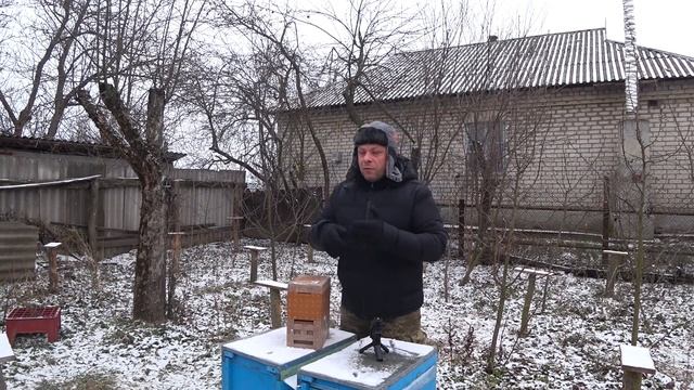 Донор для микронуклеуса. Заселение нуклеуса. Слет нуклеуса смотреть онлайн