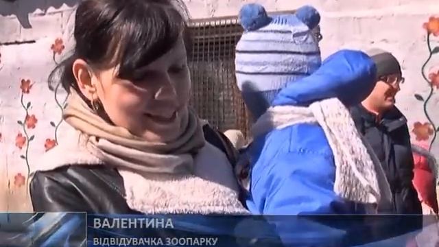 Зоопарк «Бабусине подвір’я» знову відчинив ворота для відвідувачів смотреть онлайн