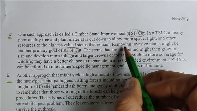 IELTS READING TIPS | full reading test practice 2023 | ielts reading READING answers смотреть онлайн