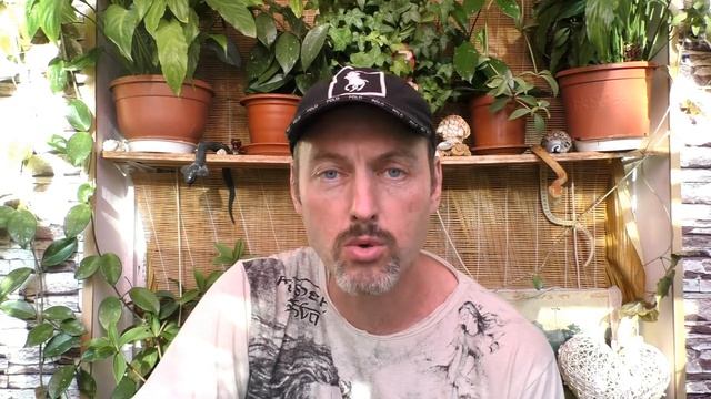 36. Кто такой Михаил Пушкара? смотреть онлайн