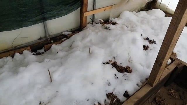 Питомник на Северо - Западе Ленинградской области. смотреть онлайн