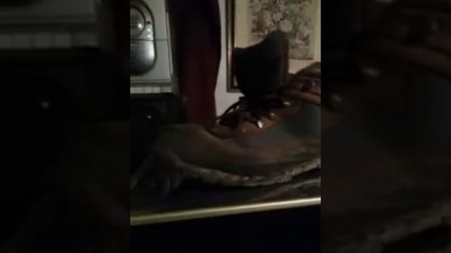 Timberland Euro Hiker Review Good Shoes