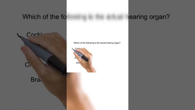 hearing organ смотреть онлайн