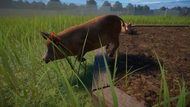 Planet Actu: Présentation du Pack Animaux de la ferme! смотреть онлайн