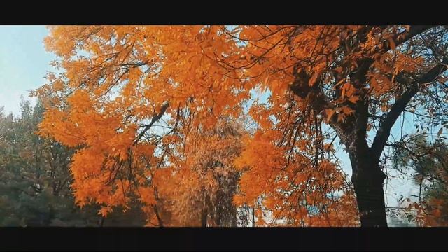 Осенний Алматы 🍂🍁 🎶🎵Бақытжан Бағдат - Тәттім!!!