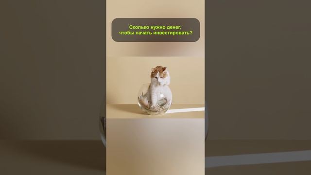 С какой суммы начинать инвестировать? #shorts #инвестиции смотреть онлайн