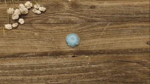 Объёмная ягодка на бурдоне