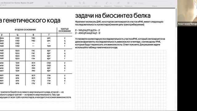 8.02 4 гр биосинтез белка смотреть онлайн