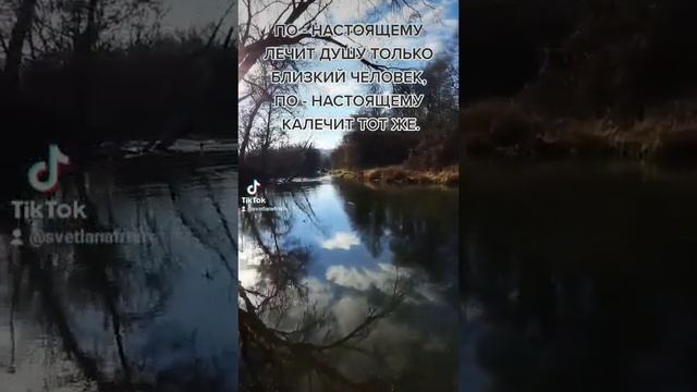 цитаты смотреть онлайн