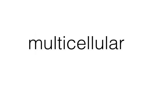 Unicellular And Multicellular