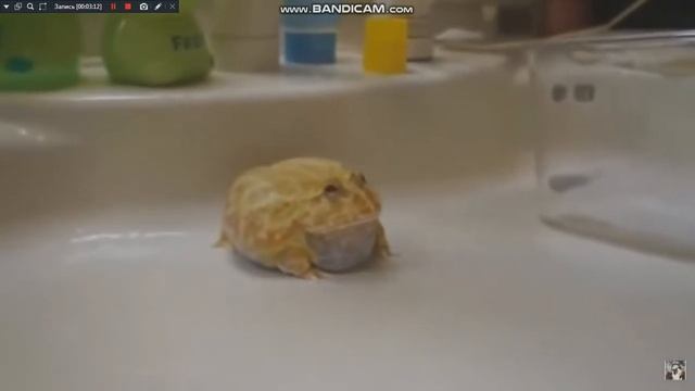 Тест на психику . Моё первое видео. смотреть онлайн