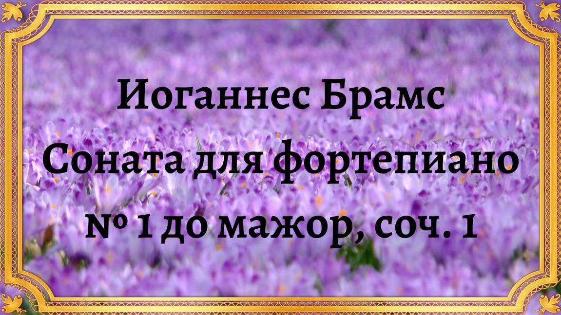 Иоганнес Брамс Соната для фортепиано № 1 до мажор, соч. 1 смотреть онлайн