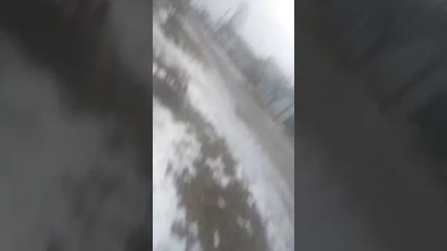 Я балансирую между природой и цевелизацей . смотреть онлайн