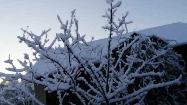 ПОВЕСТЬ "ДЖОЛ" - ЛЕТОПИСЬ ПОХОДА ШАМАНА ВОИНА смотреть онлайн