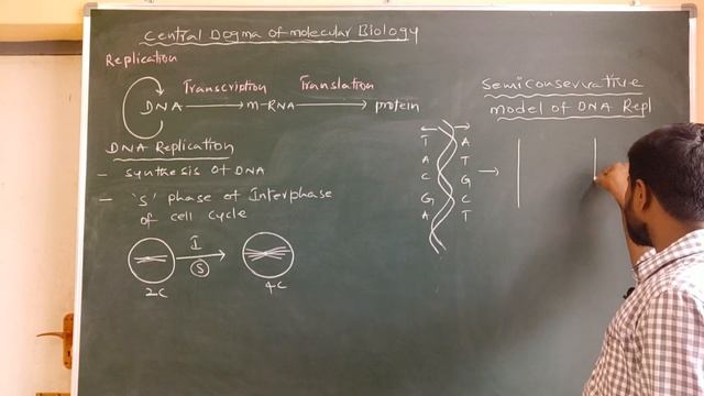 REPLICATION OF DNA(PART-1)SEMI CONSERVATIVE , CONSERVATIVE And DISPERSIVE Models Of DNA REPLICTION