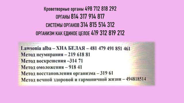 Скелет туловища смотреть онлайн