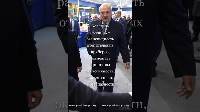 Лукашенко ты дай на ПЕЛЛЕТАХ смотреть онлайн